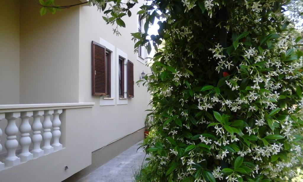 Apartments Rozelyn Ugljan Rom bilde